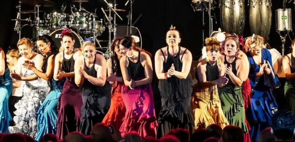 flamenco em Viseu