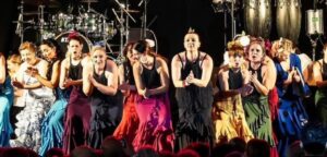 flamenco em Viseu
