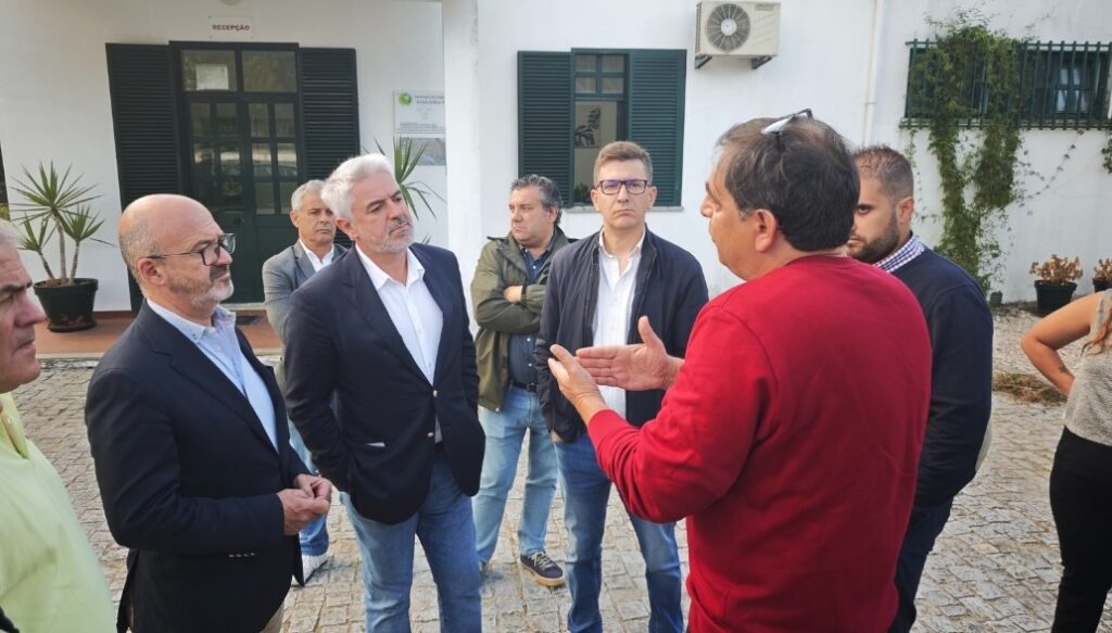  Autárquicas: PS quer resolver habitação em Viseu com parcerias público privadas