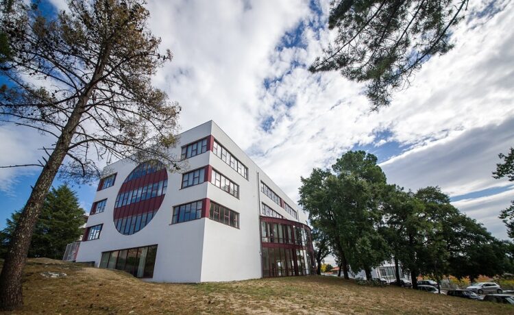 Incubadora-Vissaium-XXI-em-Viseu-750x460