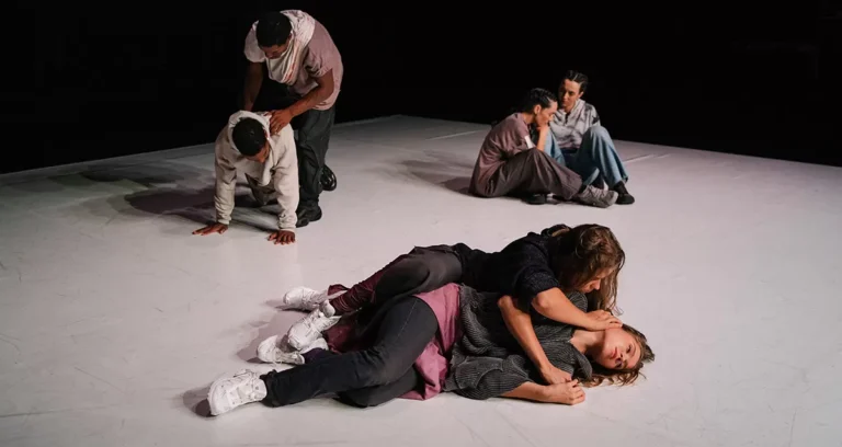 peça teatro gémeos