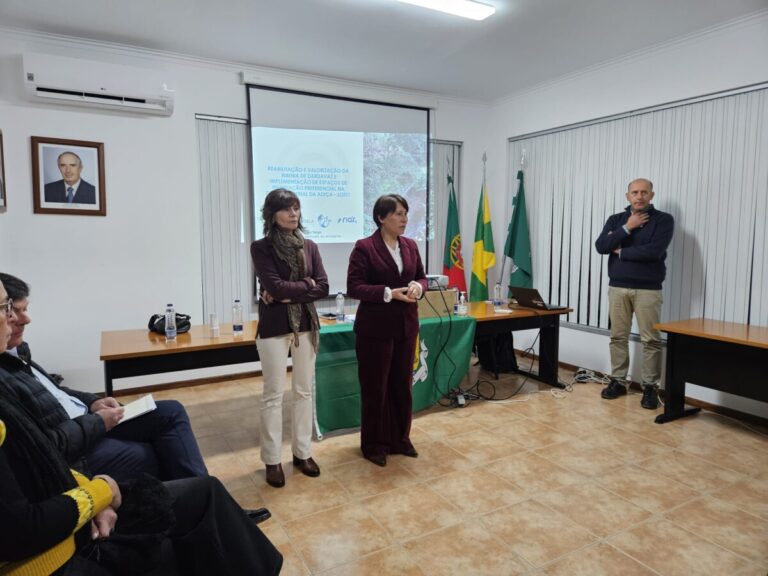 Apresentação Dardavaz 1