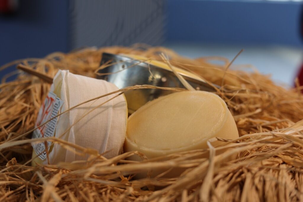  Feira do Queijo Serra da Estrela regressa a Seia entre 14 e 17 de fevereiro