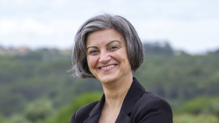 ipv maria figueiredo