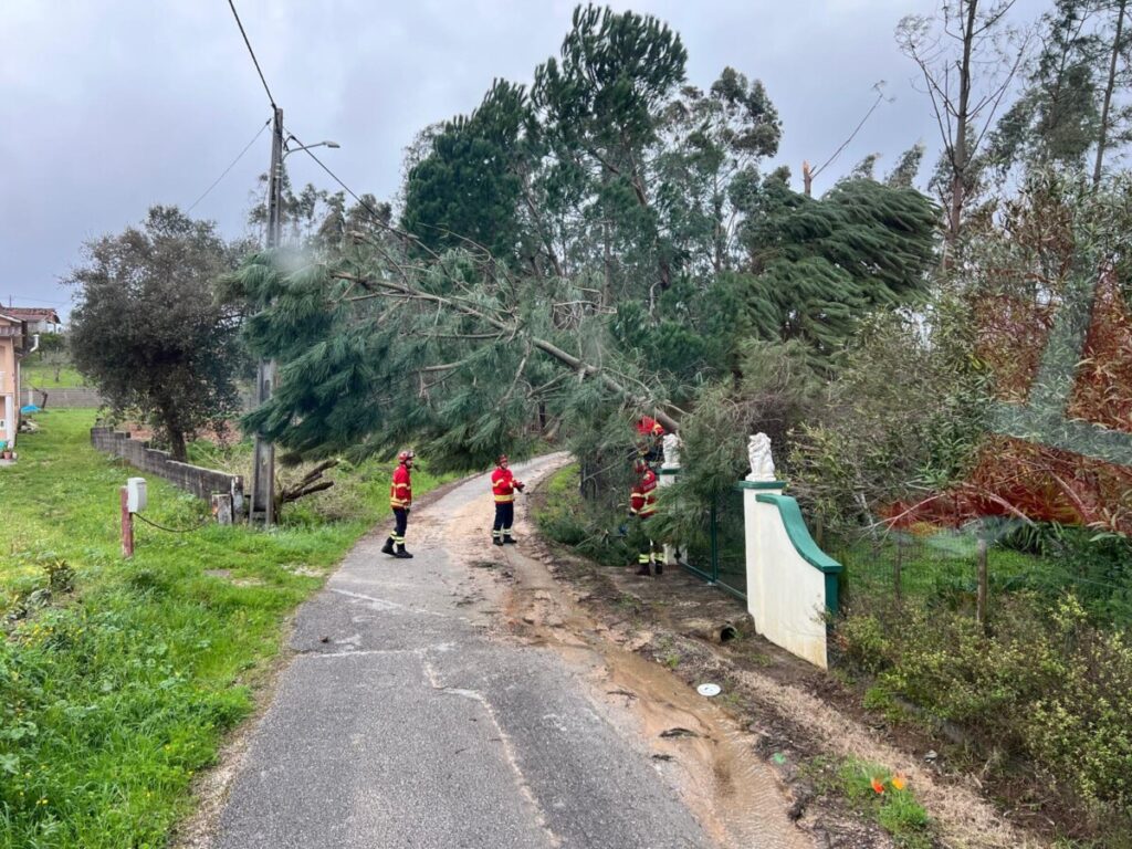 633365338_1451677446744270_1239664530175540928_n - Jornal do Centro Mau tempo: Sernancelhe entrega água, bens essenciais e materiais a Pombal