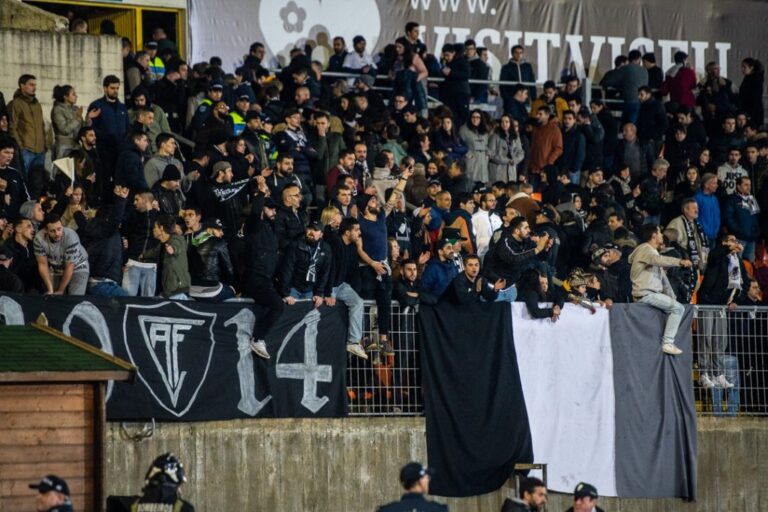 adeptos académico viseu