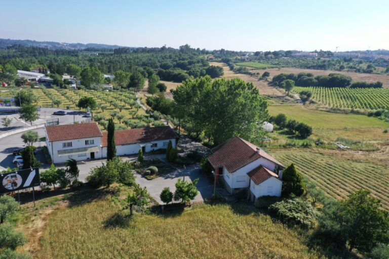 escola superior agraria viseu