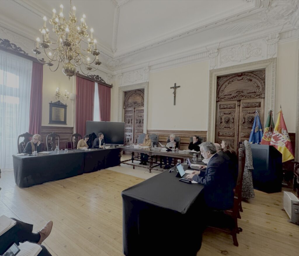  Mau tempo: Viseu tem mais de 2,5 milhões de euros de prejuízos e pede integração na lista de calamidade