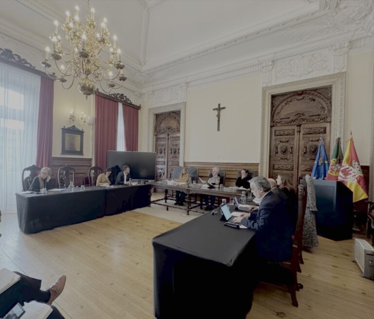 reuniao executivo viseu