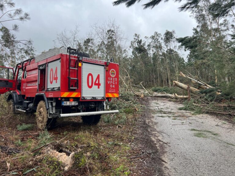 sernancelhe ajuda pombal