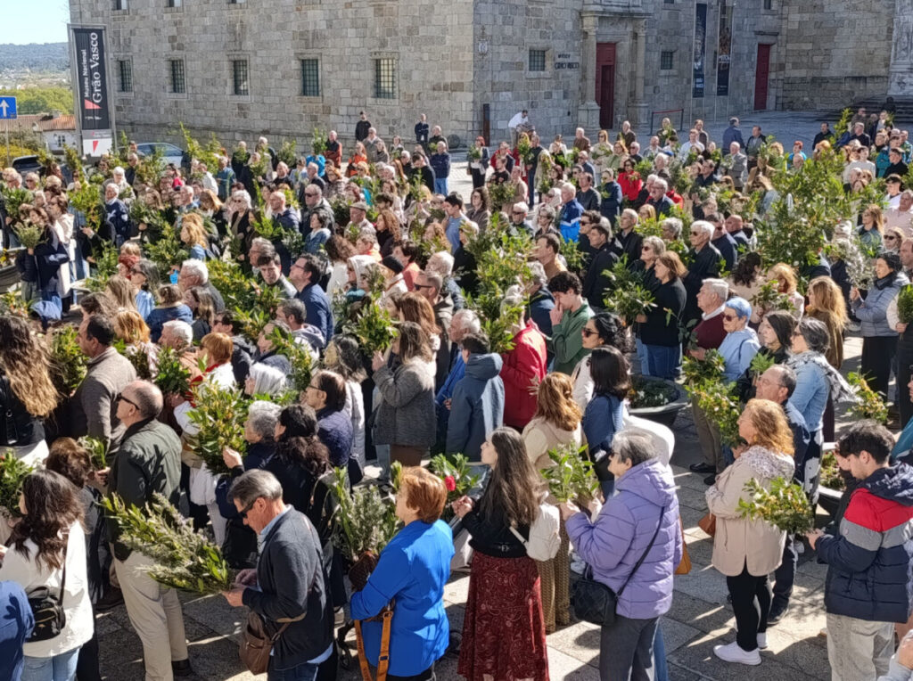  Fiéis participam na celebração do Domingo de Ramos na Sé de Viseu