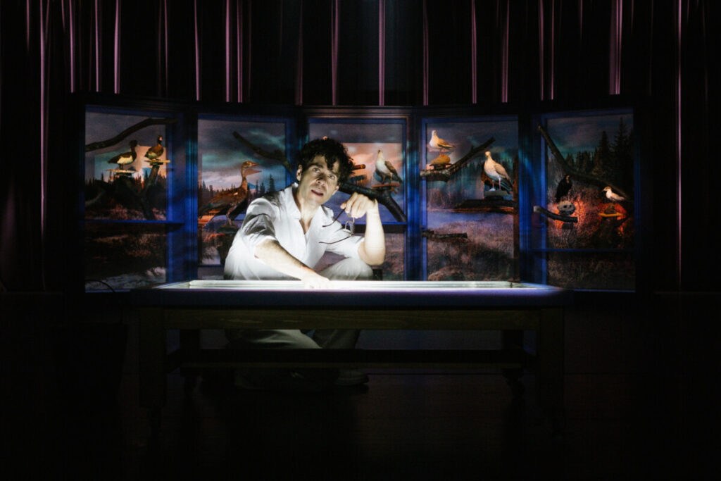 formiga atomica miguel fragata