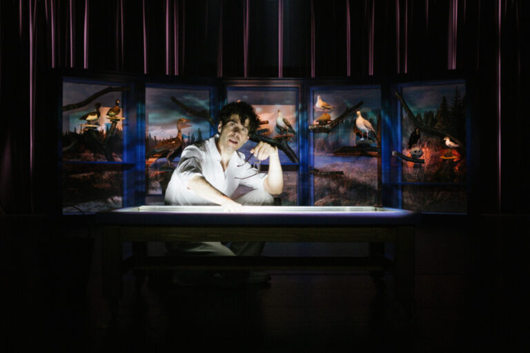 formiga atomica miguel fragata