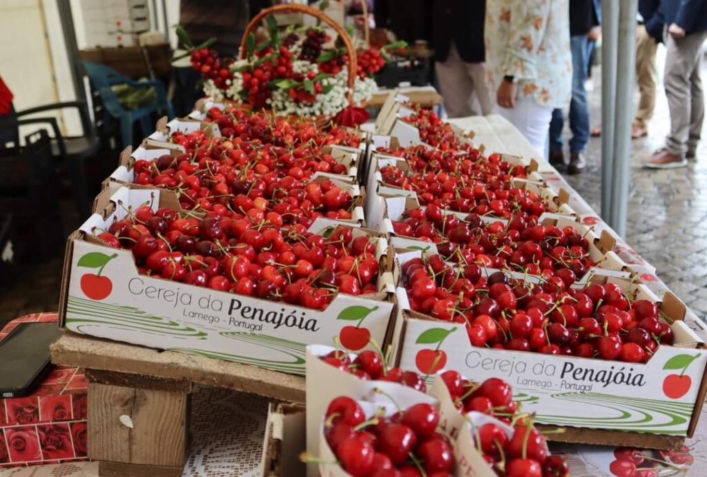  Montra da Cereja da Penajóia regressa a Lamego em maio