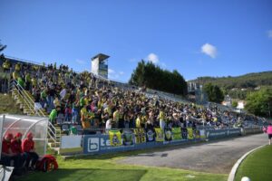 Crowd of fans in yellow, cheering from stadium bleachers on a sunny day with banners along the railings.
