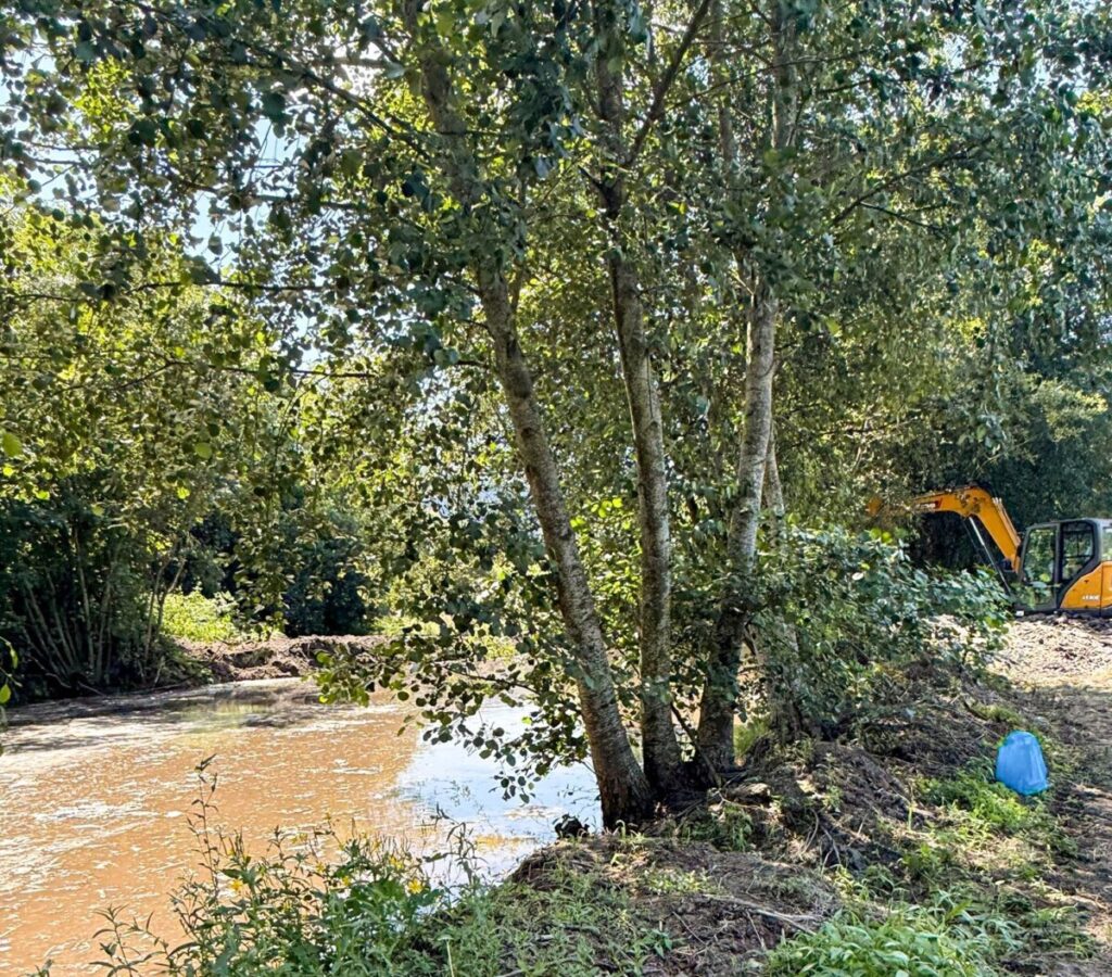 Trees lining a muddy riverbank with a yellow excavator visible in the background by the water. Município de Tarouca avança com requalificação do Açude das Antas