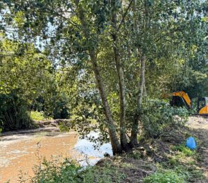 Trees lining a muddy riverbank with a yellow excavator visible in the background by the water.