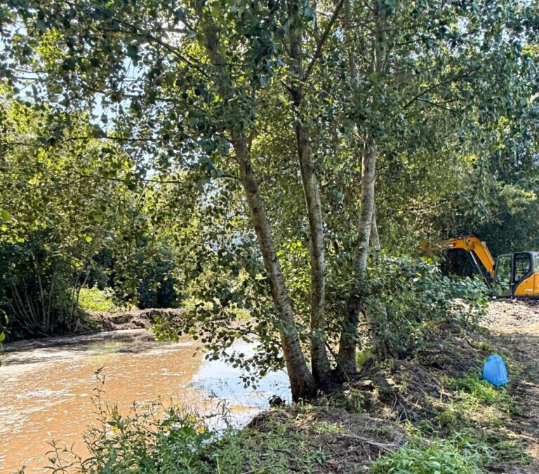 Trees lining a muddy riverbank with a yellow excavator visible in the background by the water.