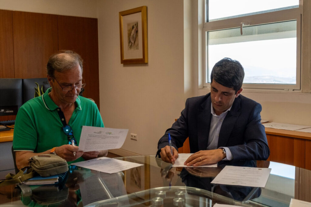 Two men seated at a glass desk signing documents in an office, with a window behind them letting in light. Município de Armamar reforça apoio a vítimas de violência doméstica