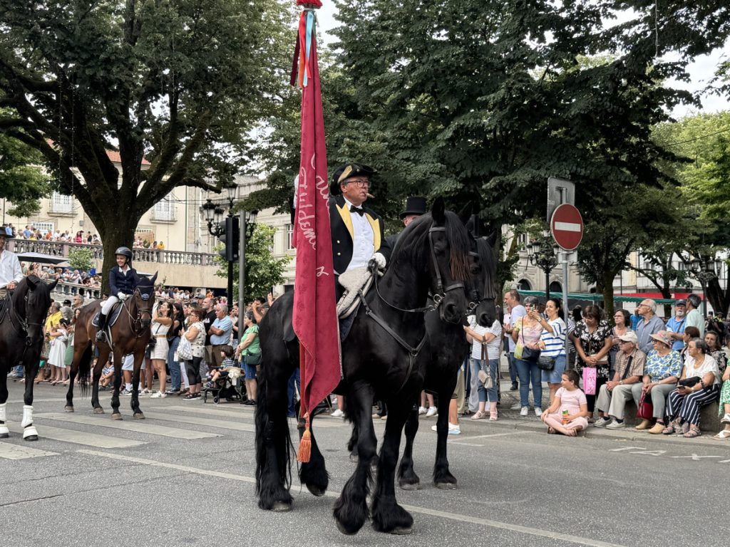 Cavalry parade: man in ceremonial uniform on a black horse carries a tall red flag while spectators line the street.