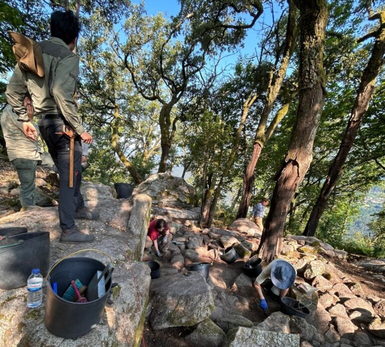 Group of people on a rocky forest slope, collecting soil into buckets amid trees and rocks.