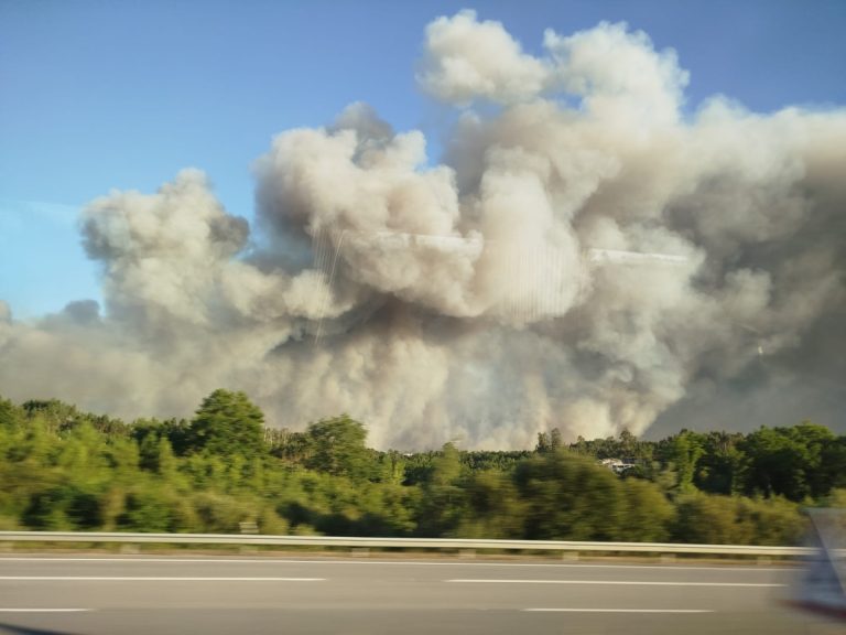 Massive cloud of smoke and dust rising from a building behind trees along a highway, seen from a moving vehicle