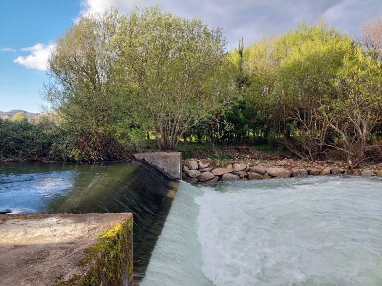 Water flowing over a small weir beside a stone wall, with a tree-lined bank in spring foliage behind it.
