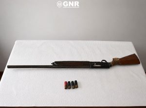 Long rifle with wooden stock laid on a white table, with four shell cartridges below it, in a plain room with a gray wall and a GNR logo above.