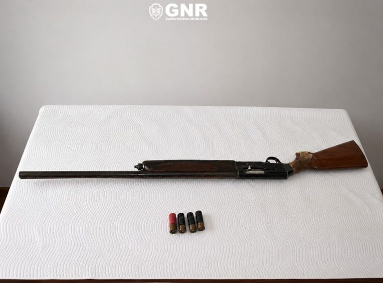 Long rifle with wooden stock laid on a white table, with four shell cartridges below it, in a plain room with a gray wall and a GNR logo above.
