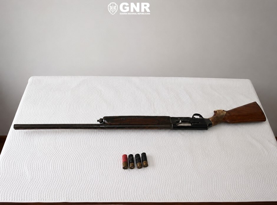 Long rifle with wooden stock laid on a white table, with four shell cartridges below it, in a plain room with a gray wall and a GNR logo above. Homem detido em Viseu por posse de arma proibida durante investigação por ameaças