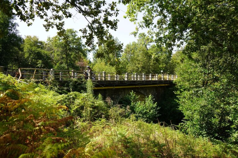 Forest scene with a small stone bridge and metal railing spanning a ravine; a motorcyclist crosses in daytime light.