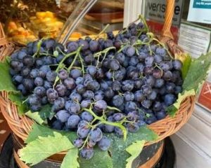 Basket of dark blue grapes on display with green leaves, in a market stall