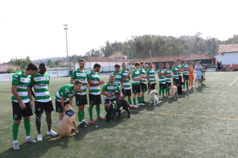 Soccer team in green-and-white striped jerseys lined up on a field with dogs on leashes in front of them.