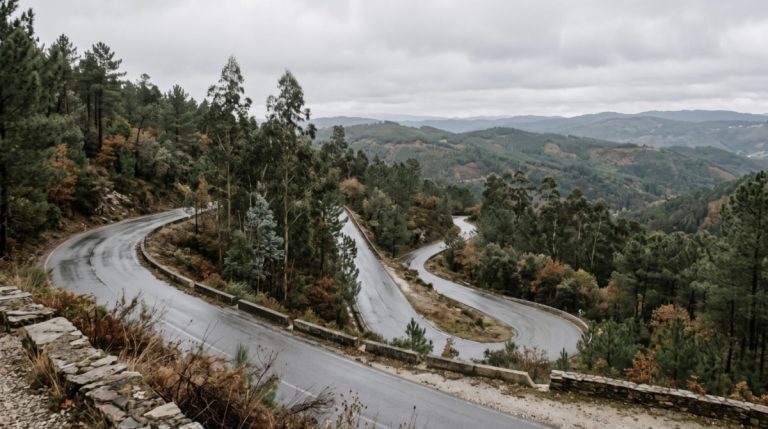 Winding mountain road with tight hairpin turns cutting through a pine forest on a gray, cloudy day.
