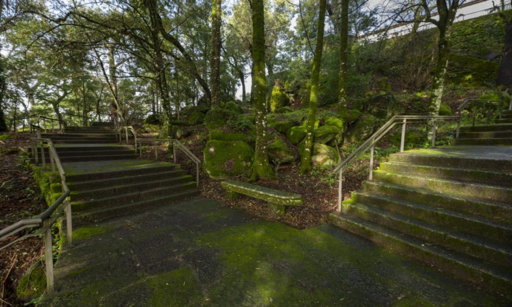 Outdoor mossy stone stairs in a wooded park, with metal railings on both sides and a moss-covered bench between staircases.
